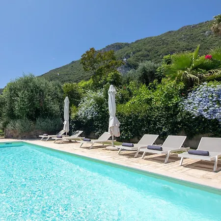 Ionian Garden - Pietra *
