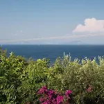 Ionian Garden - Pietra