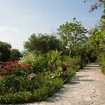 Ionian Garden - Pietra