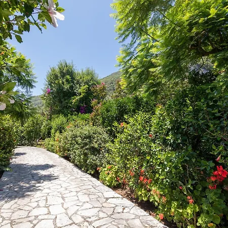 Ionian Garden - Pietra