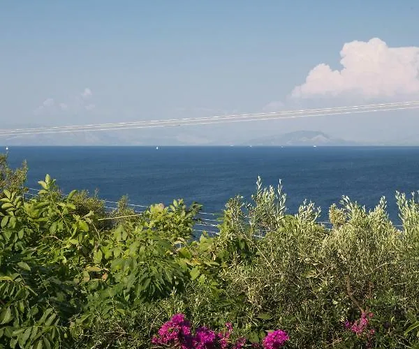 Ionian Garden - Pietra