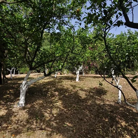 Ionian Garden - Pietra * بينيتسيس