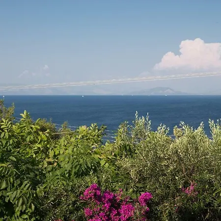 Ionian Garden - Pietra