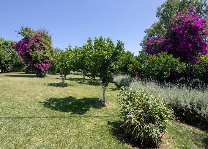 Ionian Garden - Pietra