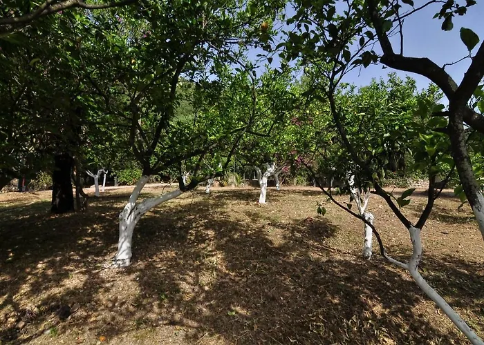 Ionian Garden - Pietra * Бенитсес